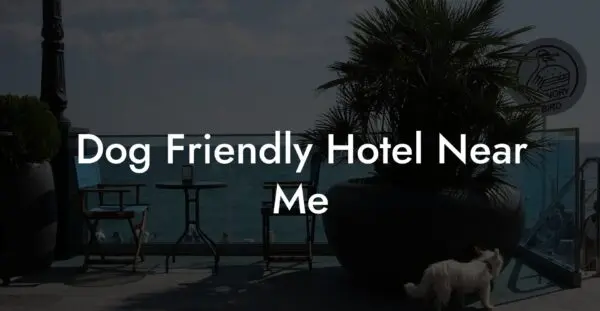 How to Find the Best Hotel Near Me