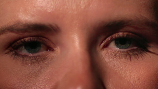 The Elizabeth Smart Kidnapping Story: A Netflix Perspective