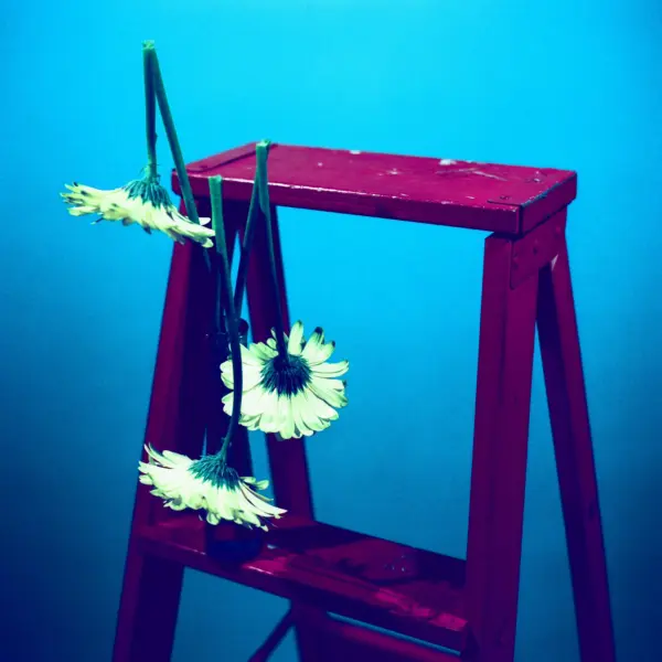 The Career and Impact of Liv Tyler in the Film Industry