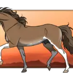 The Excitement of Live Cricket: Stay Updated