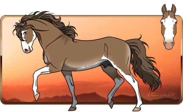 The Excitement of Live Cricket: Stay Updated