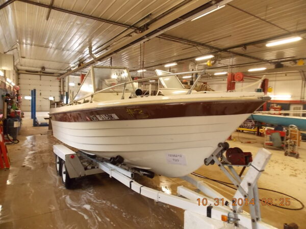 Louise Thompson: A Look at Her Recent Journey