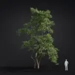 Major Developments in Global Climate Action