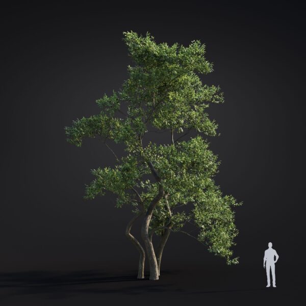 Major Developments in Global Climate Action