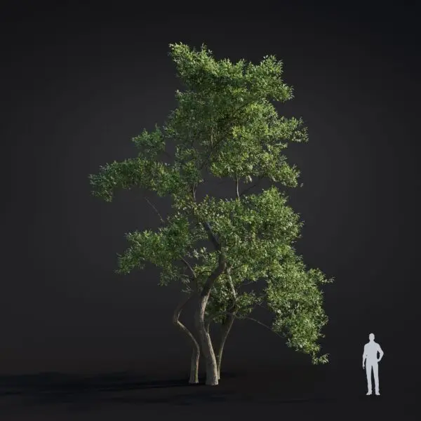 Major Developments in Global Climate Action