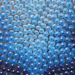 Exploring Moree: A Gem of New South Wales