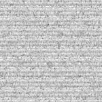 The Phenomenon of Nathan Evans and Sea Shanties