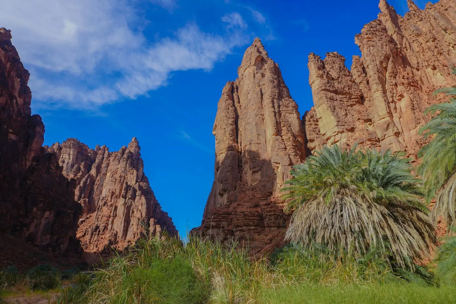 Discover NEOM: Saudi Arabia’s Vision for a Sustainable Future