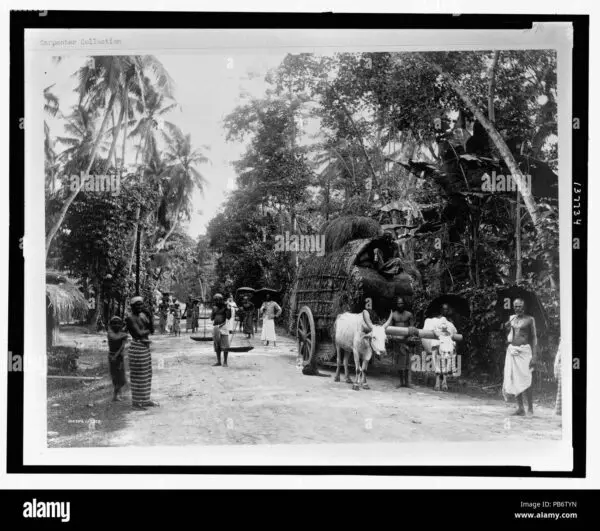 The Importance of Being Nice in Today’s Society