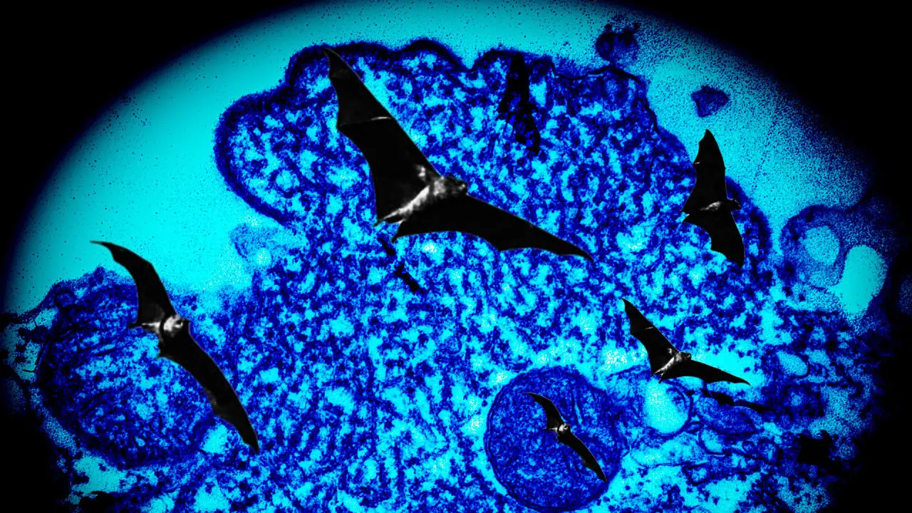 Understanding Nipah Virus and Its Health Implications