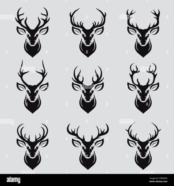 Norway: A Comprehensive Look at a Nordic Wonder