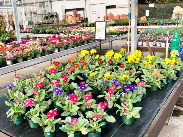 The Significance of Notetaking in Modern Life