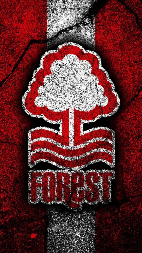Nottingham Forest: A Season of Challenges and Growth