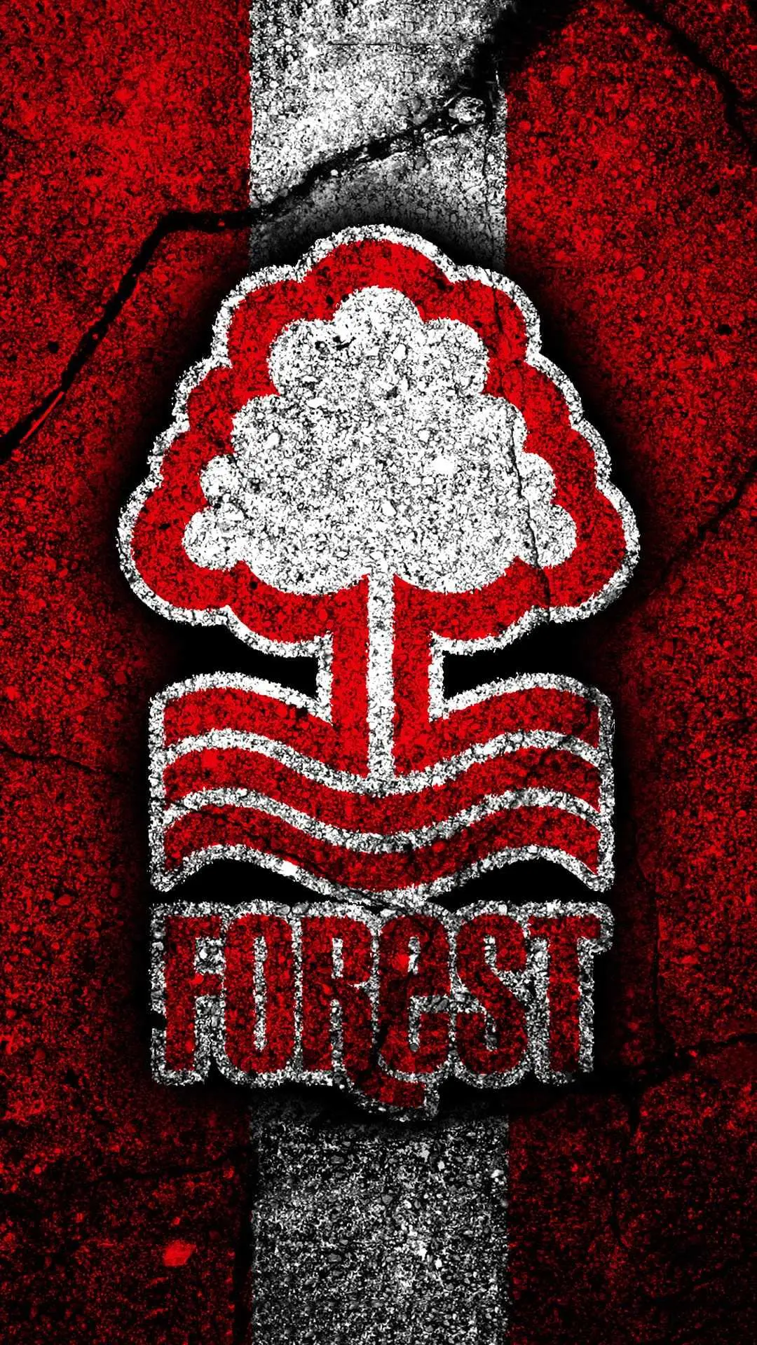 Nottingham Forest: A Season of Challenges and Growth