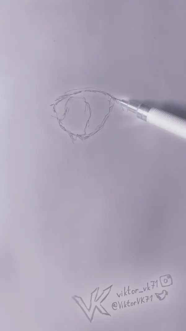 Understanding Penguins: Their Habitats and Conservation Efforts