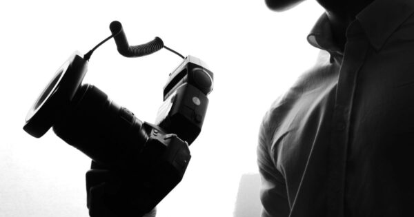 Understanding Penguins: Adorable Birds of the Antarctic