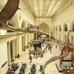 Discover the Pokémon Natural History Museum: A Unique Experience