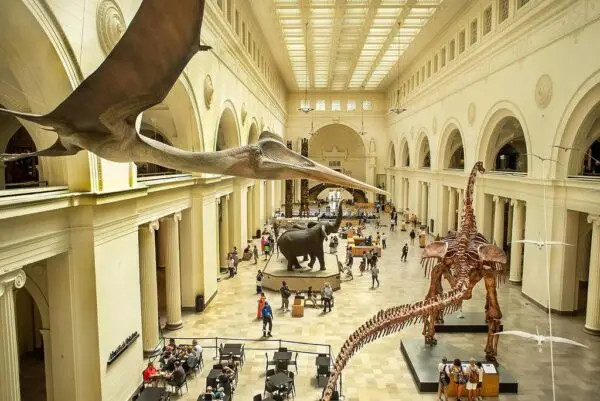 Discover the Pokémon Natural History Museum: A Unique Experience
