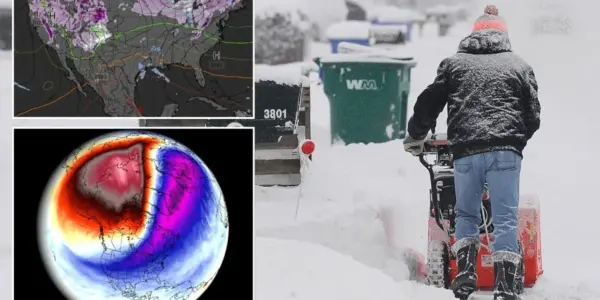 An In-Depth Look at the Polar Vortex Collapse Forecast