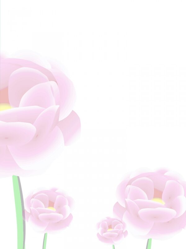 The Role of Public Engagement in Community Development