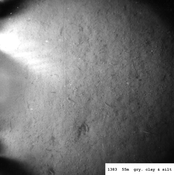 The Resurgence of Pubs: A Vital Cornerstone of Community Life