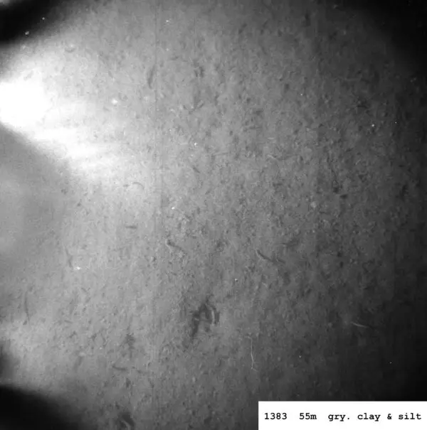 The Resurgence of Pubs: A Vital Cornerstone of Community Life