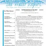 The Role of Reports in Business Success