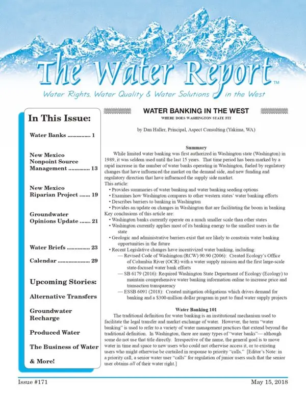 The Role of Reports in Business Success