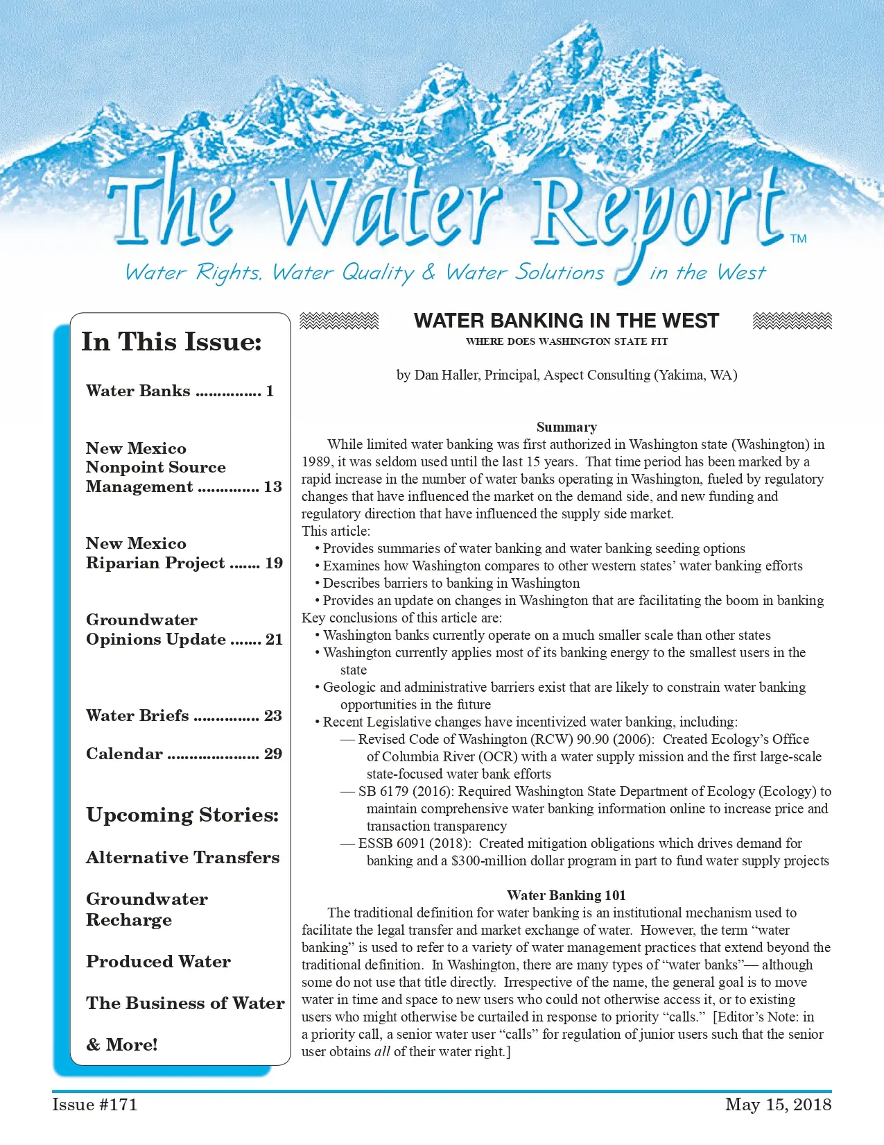 The Role of Reports in Business Success