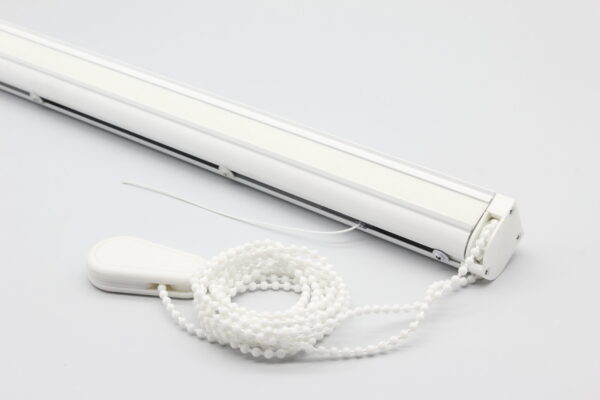 Understanding the Roma: Culture, Challenges, and Contributions