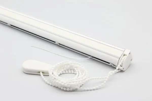 Understanding the Roma: Culture, Challenges, and Contributions