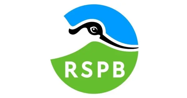 The Role of RSPB in Wildlife Conservation