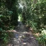 The Transformative Power of Running