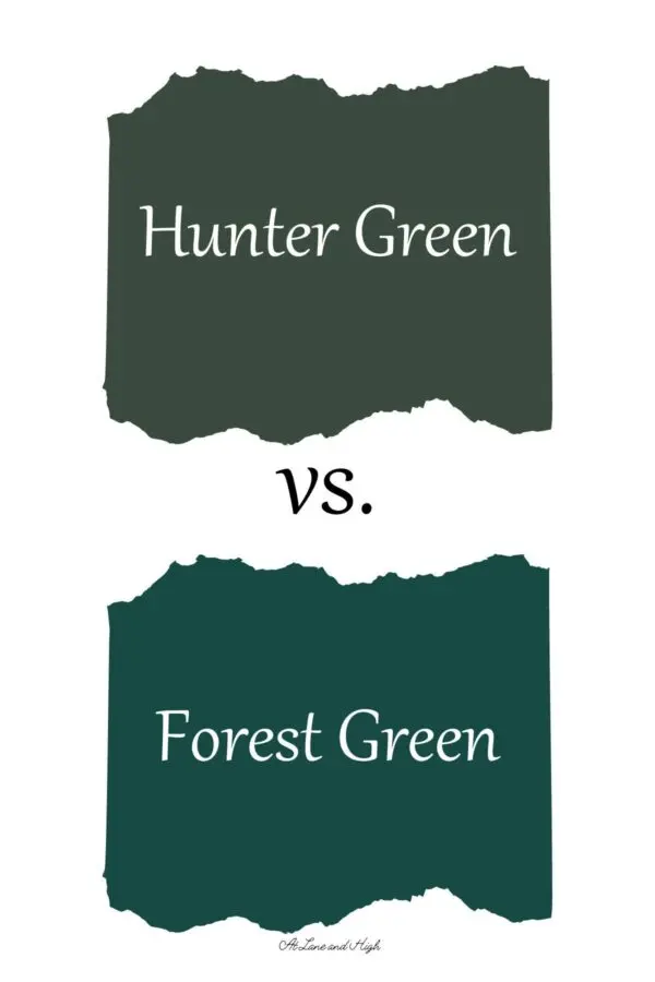 Scunthorpe vs Forest Green: Key Match Insights