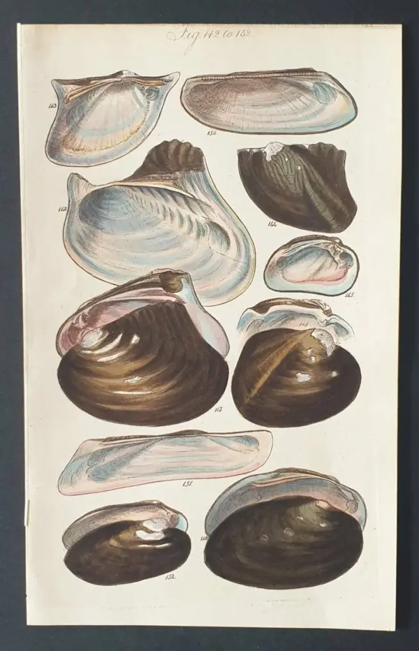 Insight into Shell’s Recent Developments and Sustainability Efforts