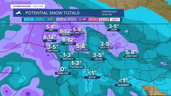 Understanding the Snow Storm Weather Forecast