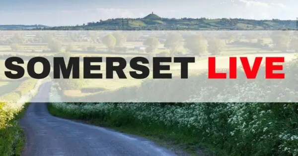 Latest News from Somerset Live: Your Source for Local Updates