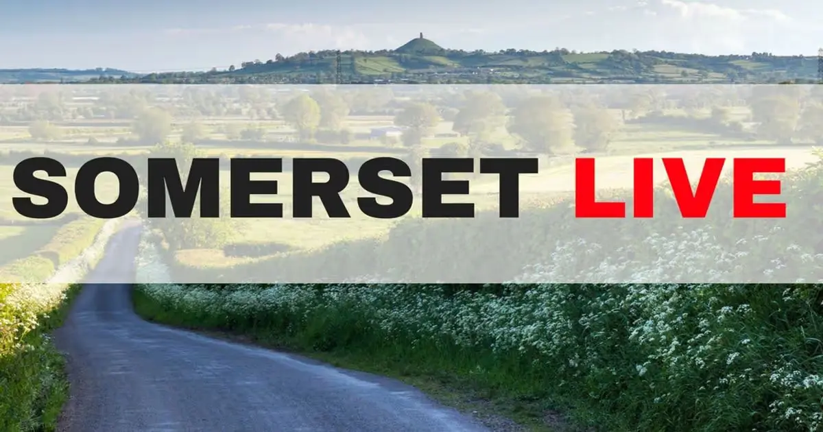 Latest News from Somerset Live: Your Source for Local Updates