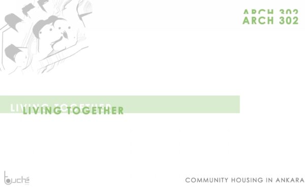 Understanding the Role of Sons in Today’s World