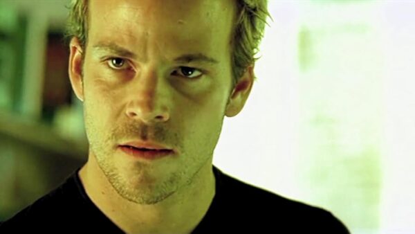 The Rise of Stolen Amazon Series and Its Implications