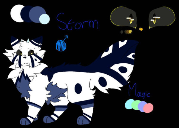 The Impact and Significance of Storm Chandra