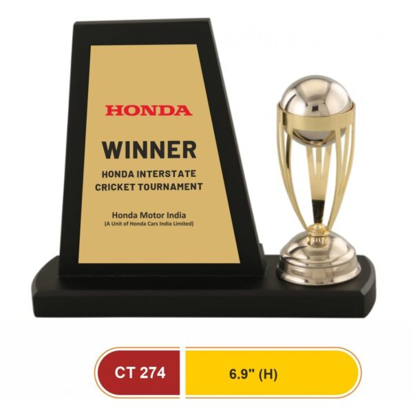 The Significance of Surface in Science and Technology