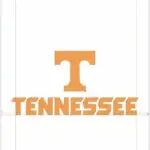The Importance and Culture of Tennessee