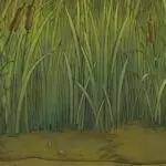 The Hundred: A New Era in English Cricket