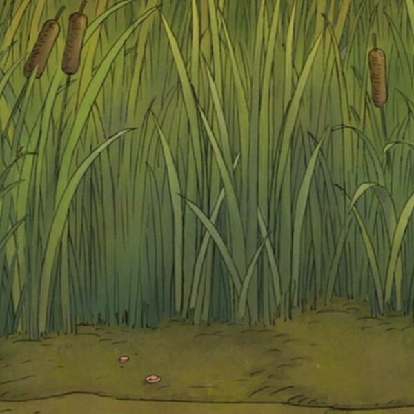 The Hundred: A New Era in English Cricket