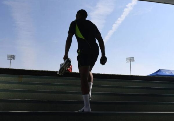 The Risks and Prevention of Timber Injury