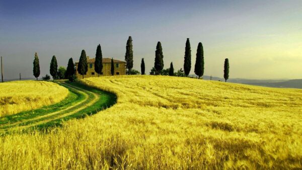 Exploring the Beauty and Culture of Tuscany