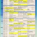 Your Guide to the TV Schedule Tonight