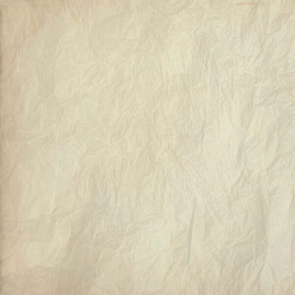 Exciting Developments in Tyler Ballgame Events