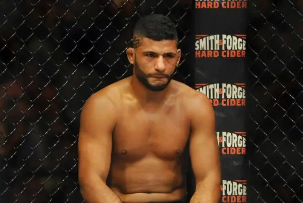 Overview of Recent UFC Events and Highlights